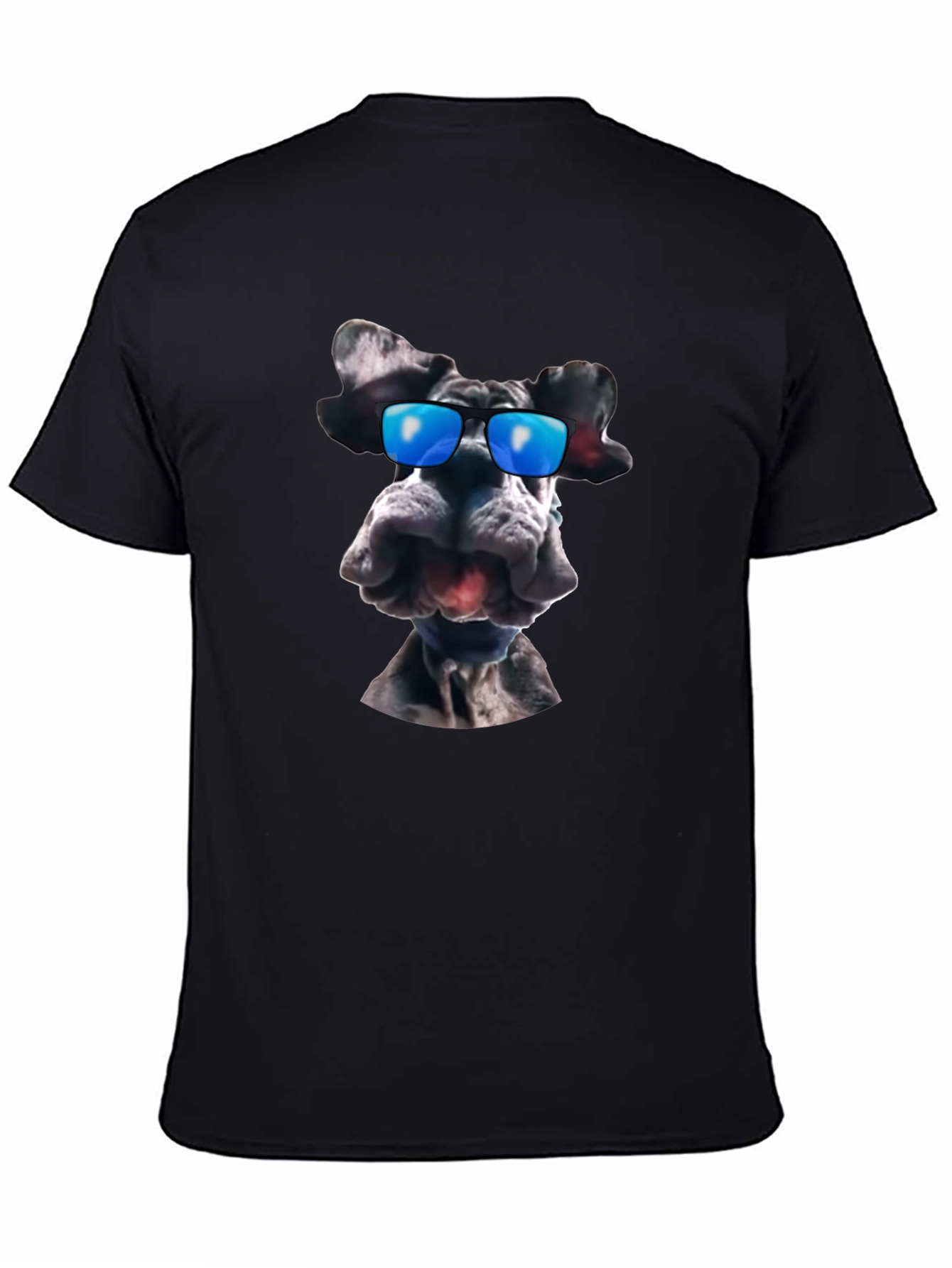Cool Dog Graphic T-Shirt