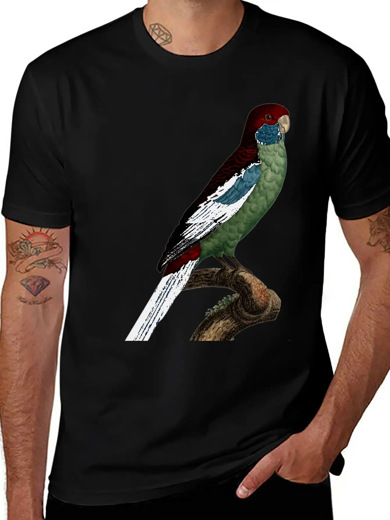 Parrot 14 Breathable Graphic T-Shirt – Perfect For Casual Days