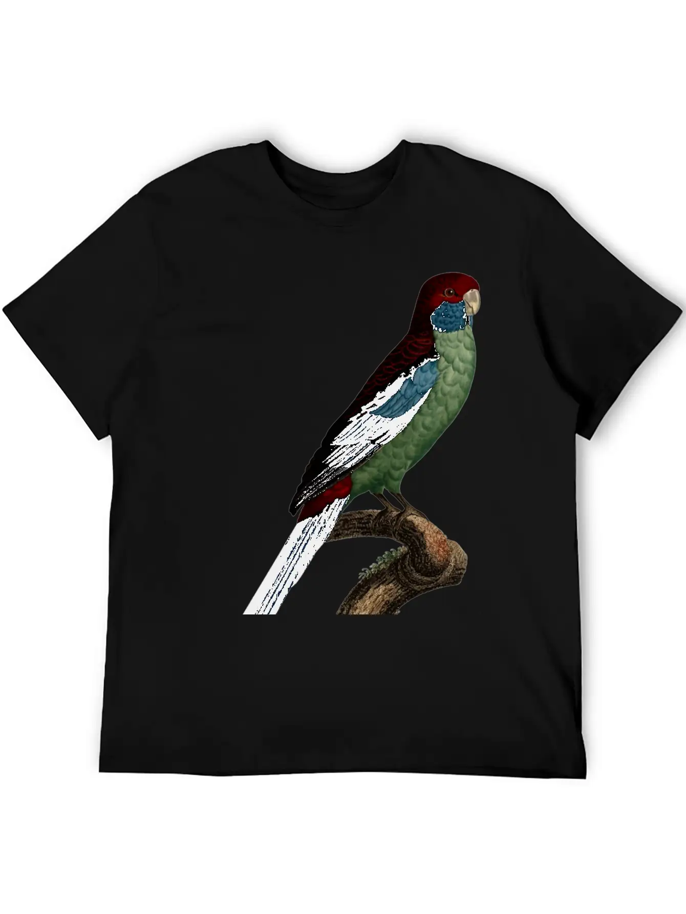 Parrot 14 Breathable Graphic T-Shirt – Perfect For Casual Days