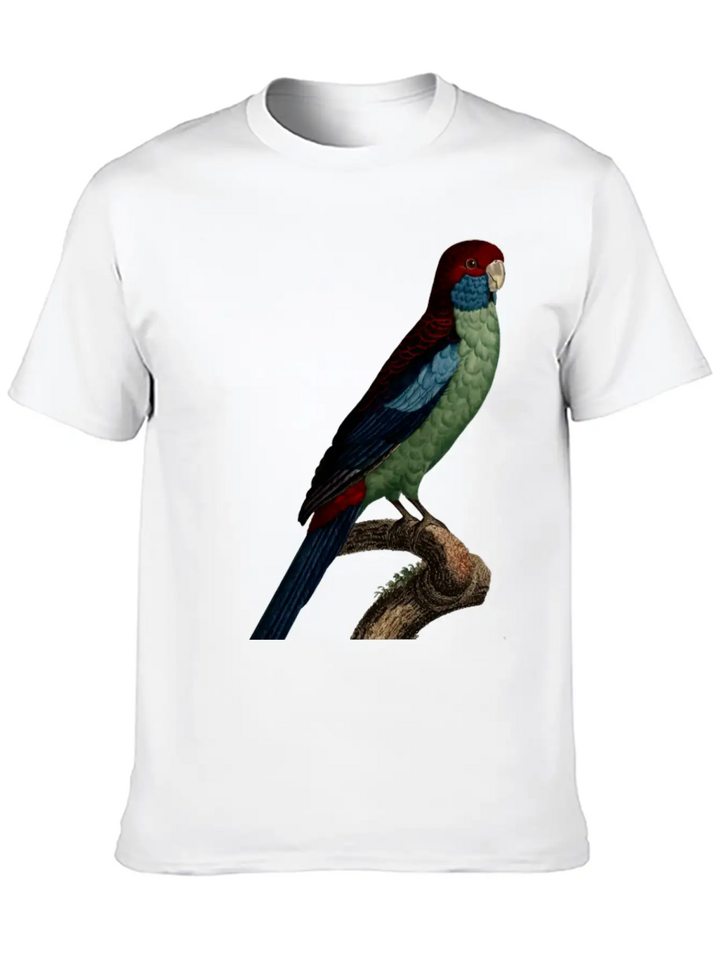 Parrot 14 Breathable Graphic T-Shirt – Perfect For Casual Days