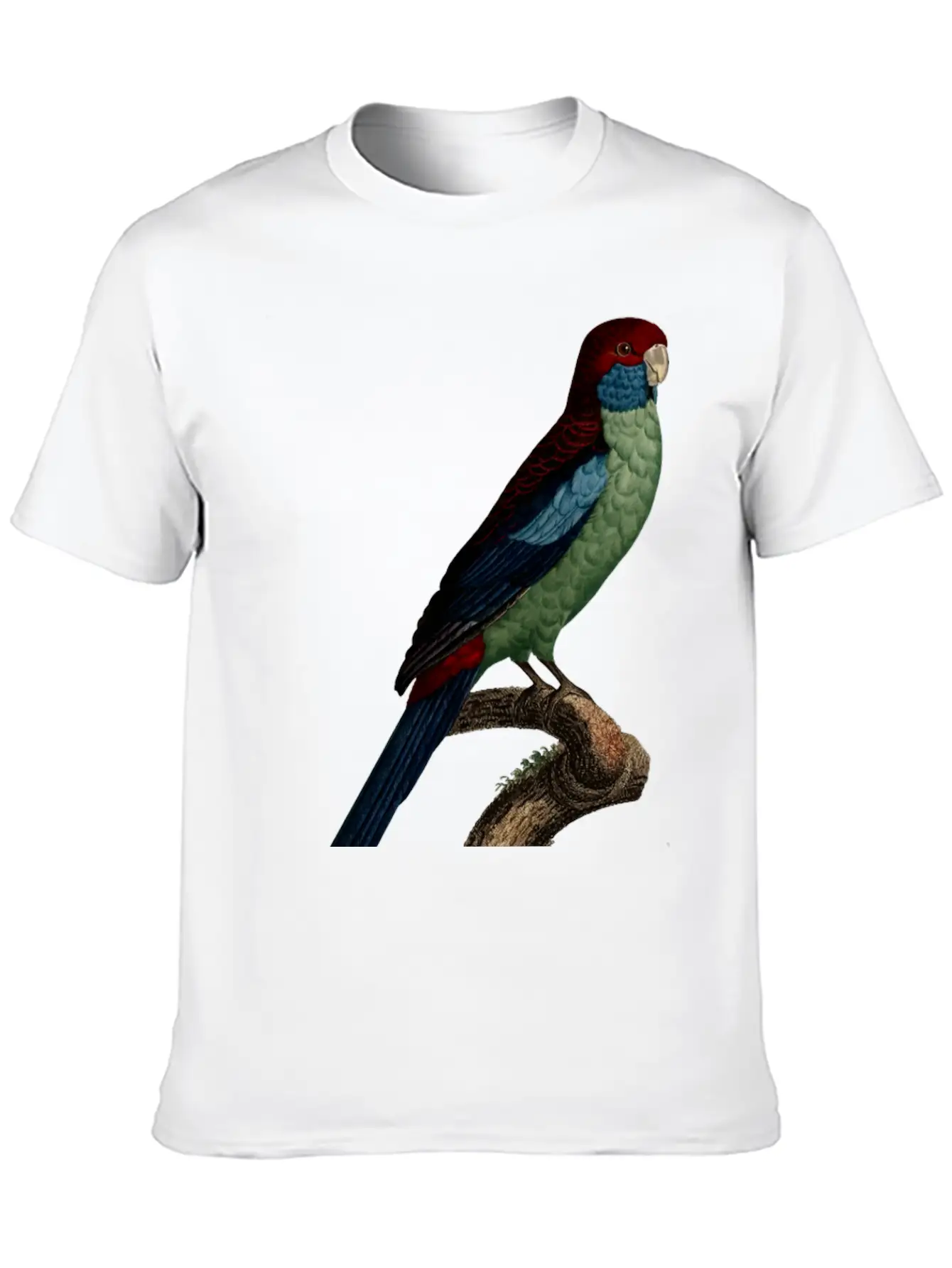 Parrot 14 Breathable Graphic T-Shirt – Perfect For Casual Days