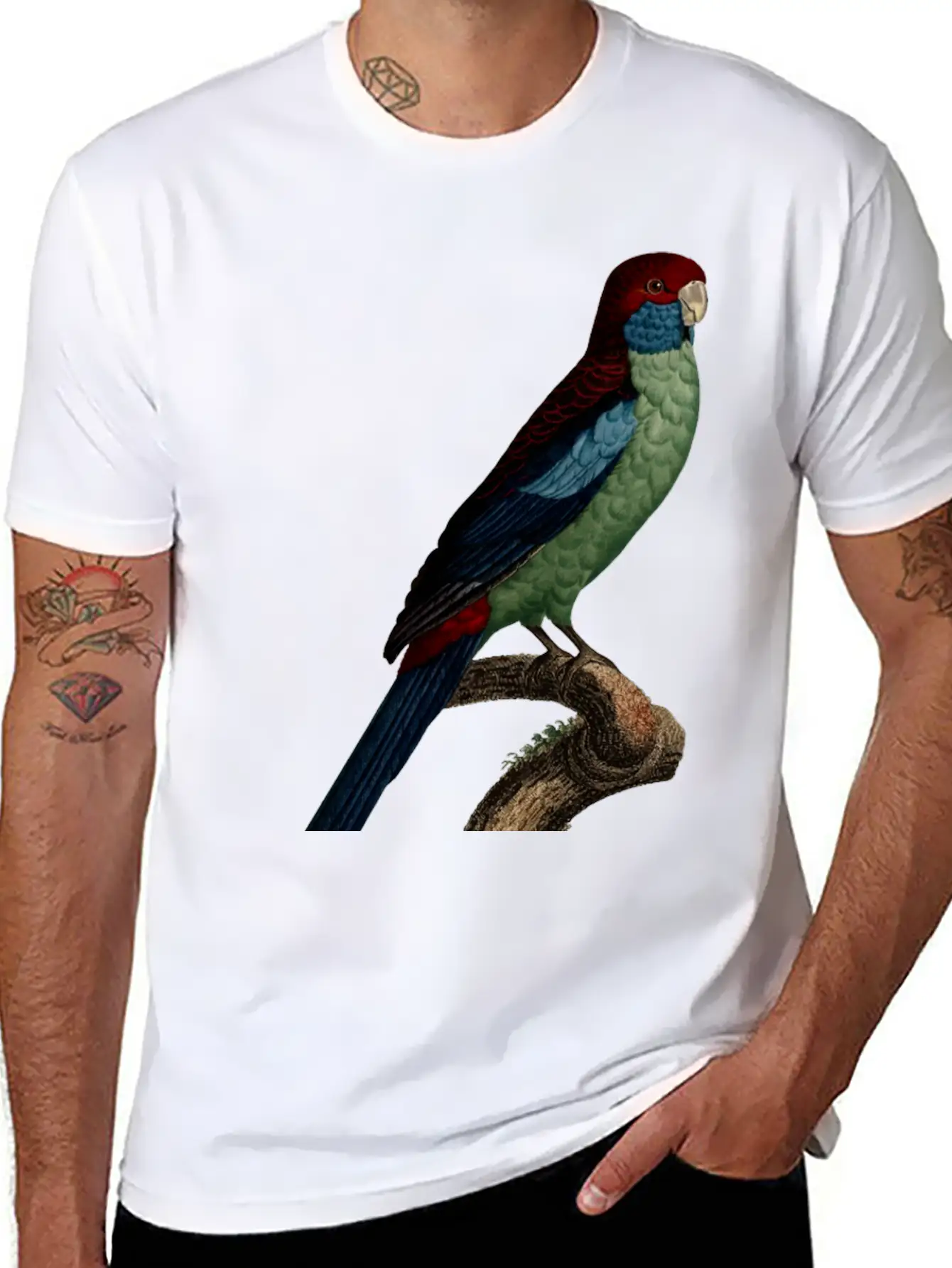 Parrot 14 Breathable Graphic T-Shirt – Perfect For Casual Days