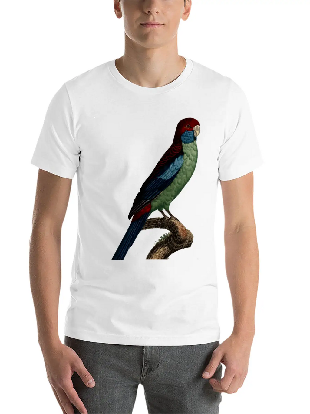 Parrot 14 Breathable Graphic T-Shirt – Perfect For Casual Days