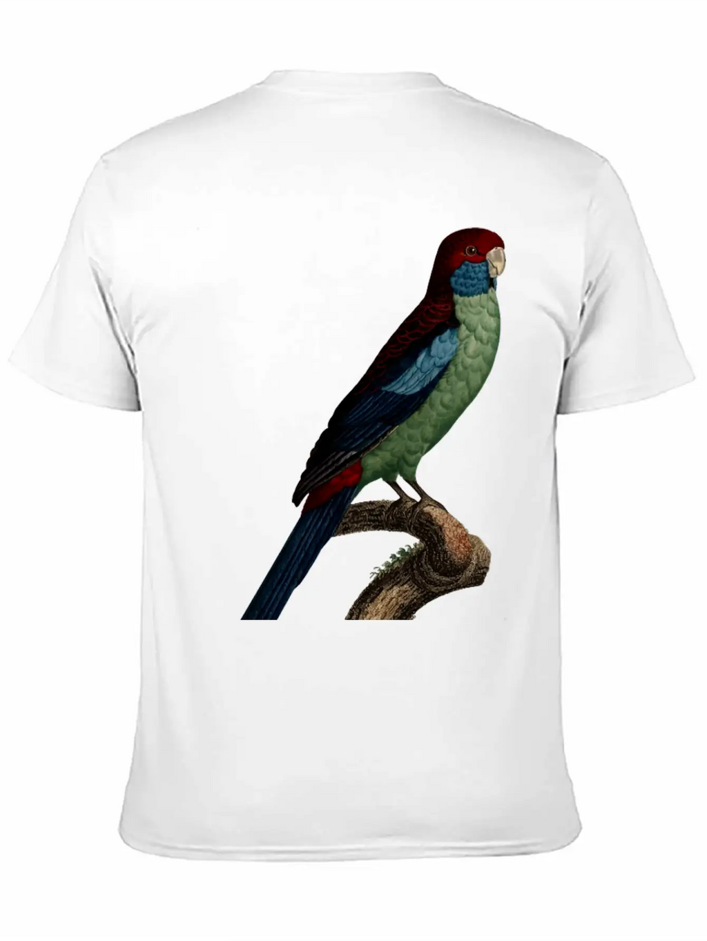 Parrot 14 Breathable Graphic T-Shirt – Perfect For Casual Days