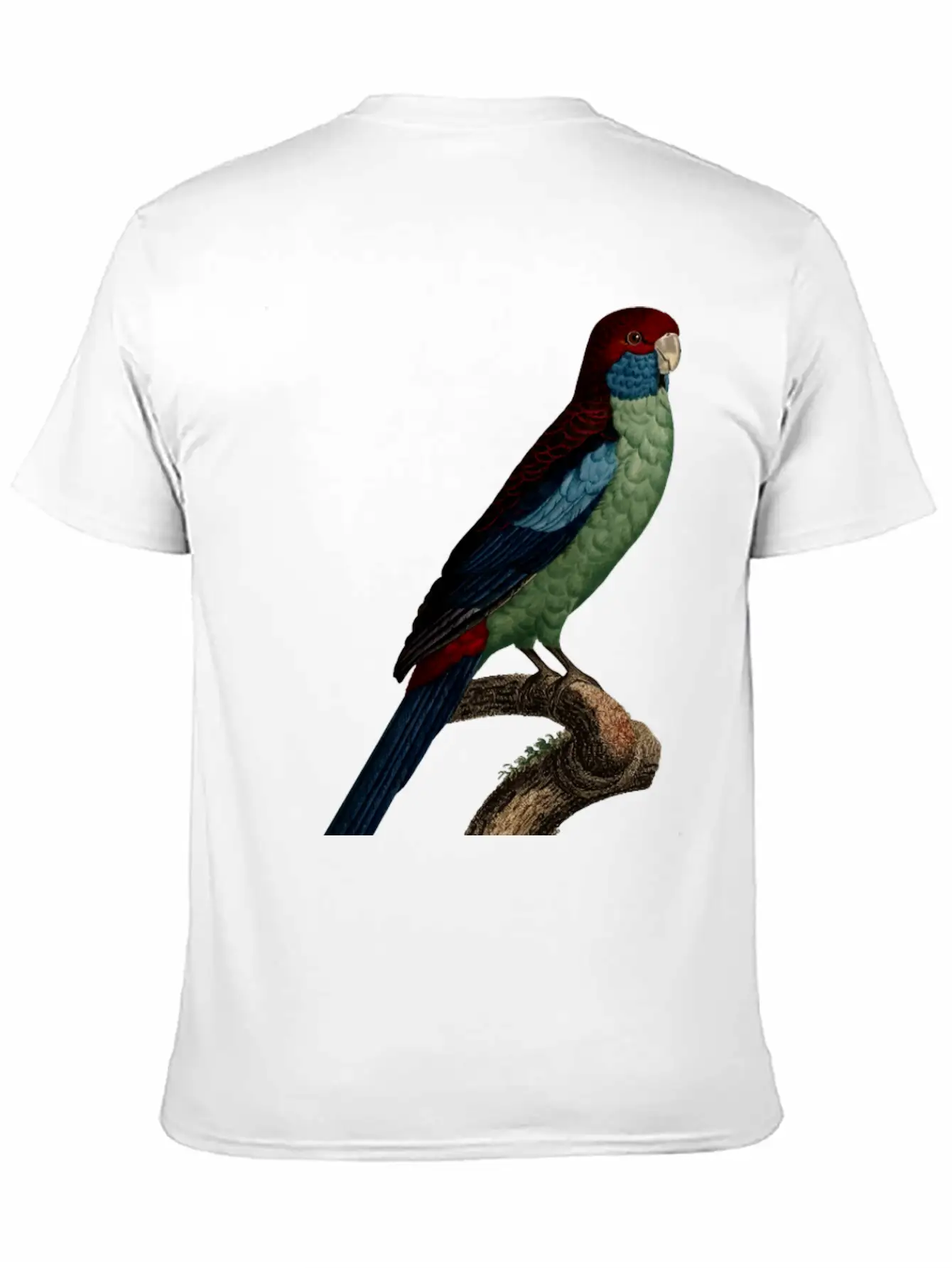 Parrot 14 Breathable Graphic T-Shirt – Perfect For Casual Days