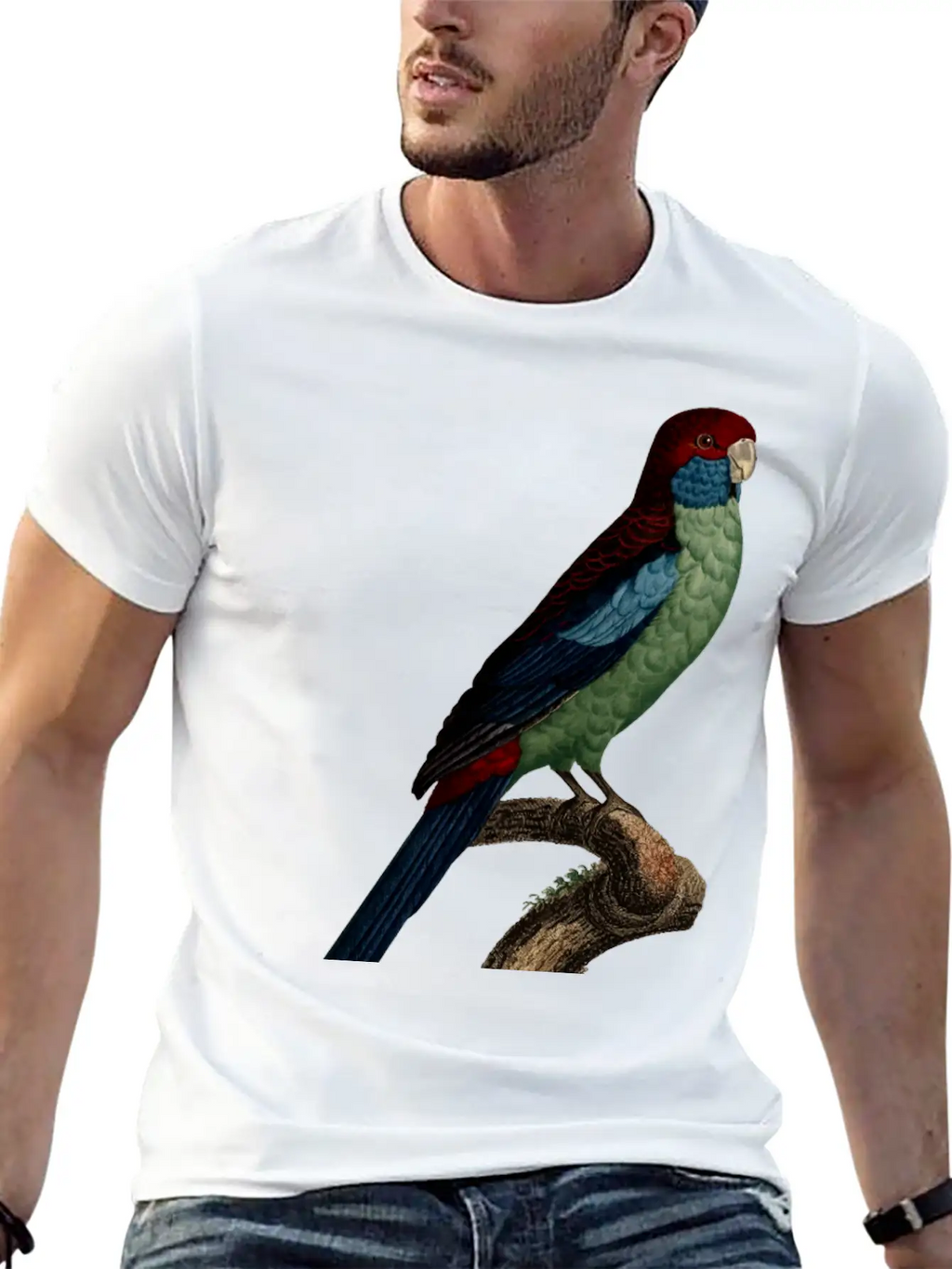 Parrot 14 Breathable Graphic T-Shirt – Perfect For Casual Days