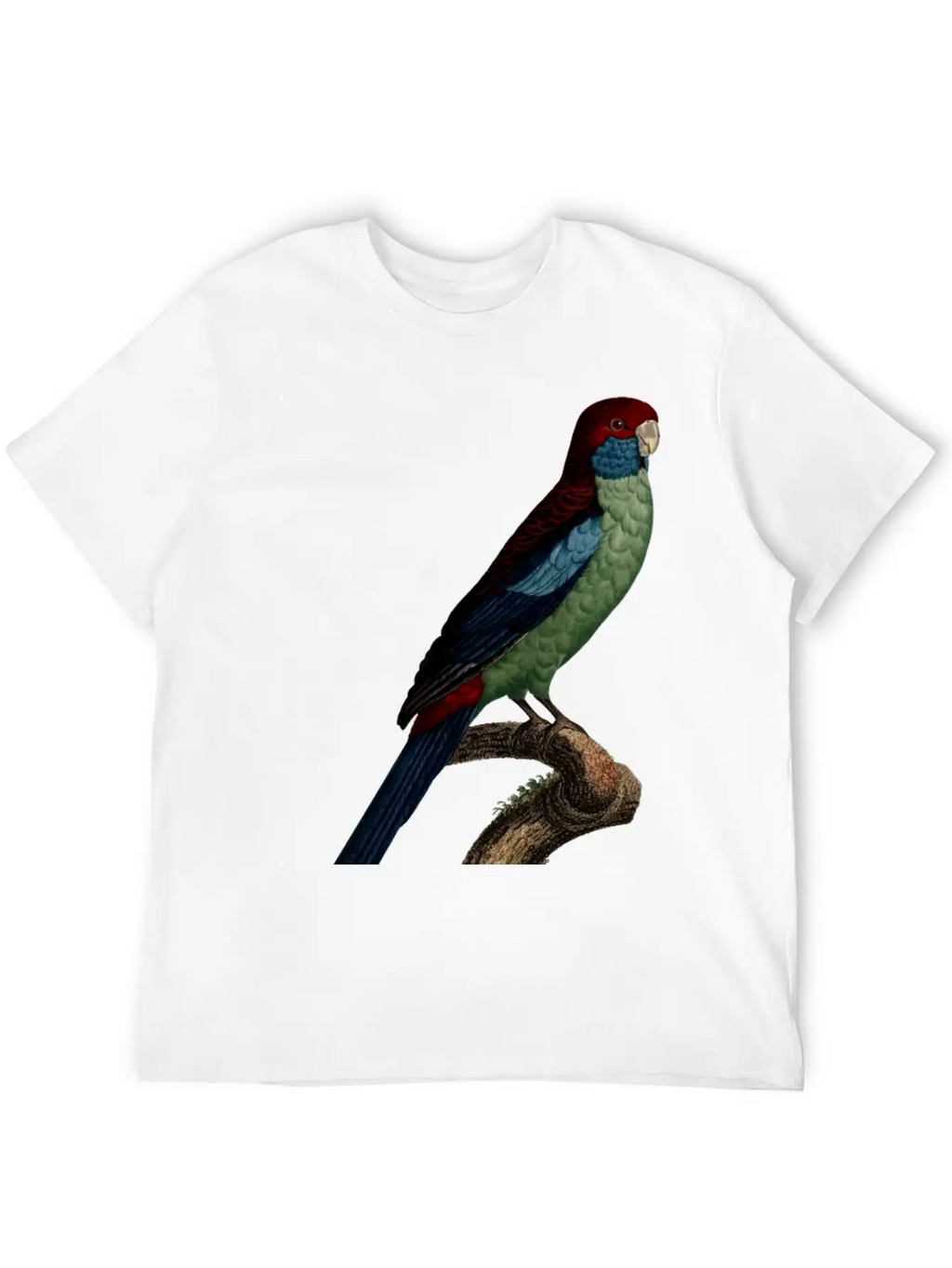 Parrot 14 Breathable Graphic T-Shirt – Perfect For Casual Days