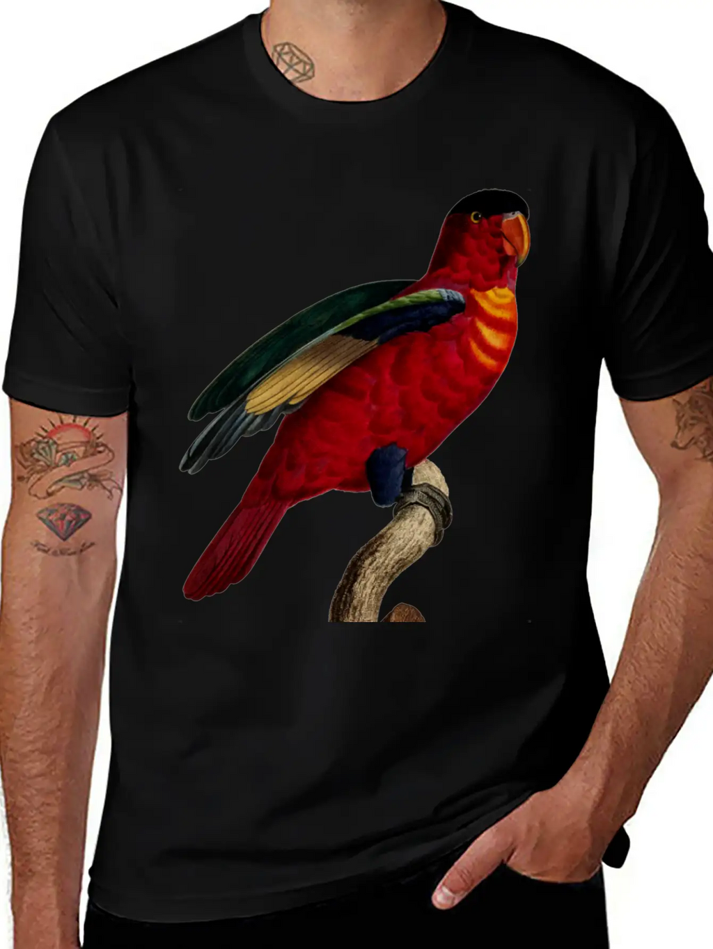 Parrot 29 Relaxed Everyday Tee – Lightweight And Durable Cotton