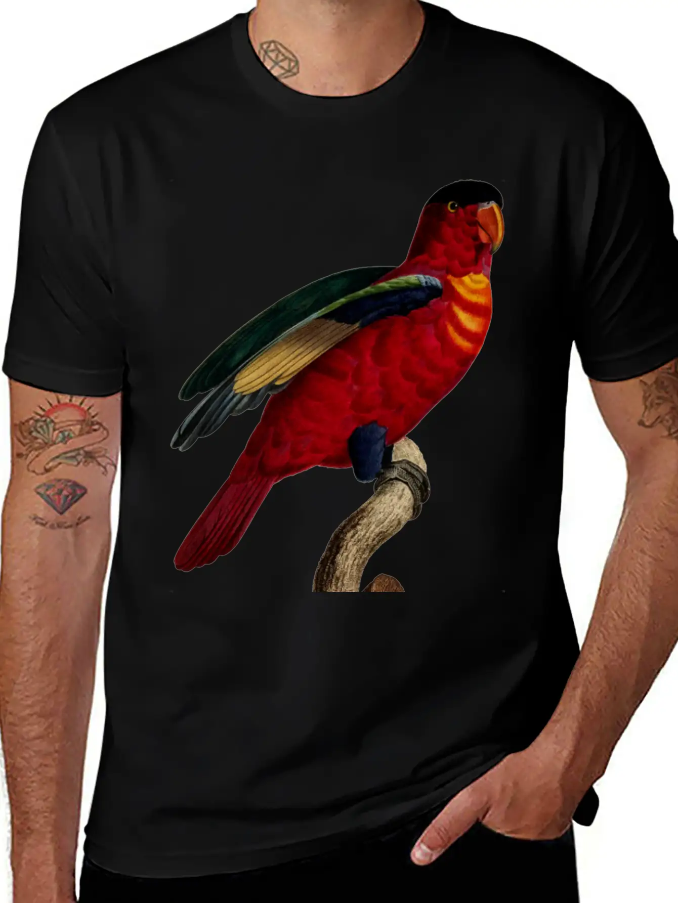 Parrot 29 Relaxed Everyday Tee – Lightweight And Durable Cotton