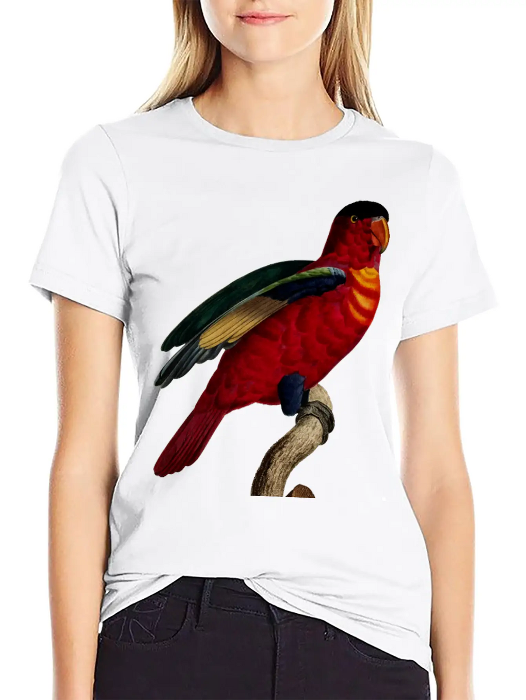 Parrot 29 Relaxed Everyday Tee – Lightweight And Durable Cotton