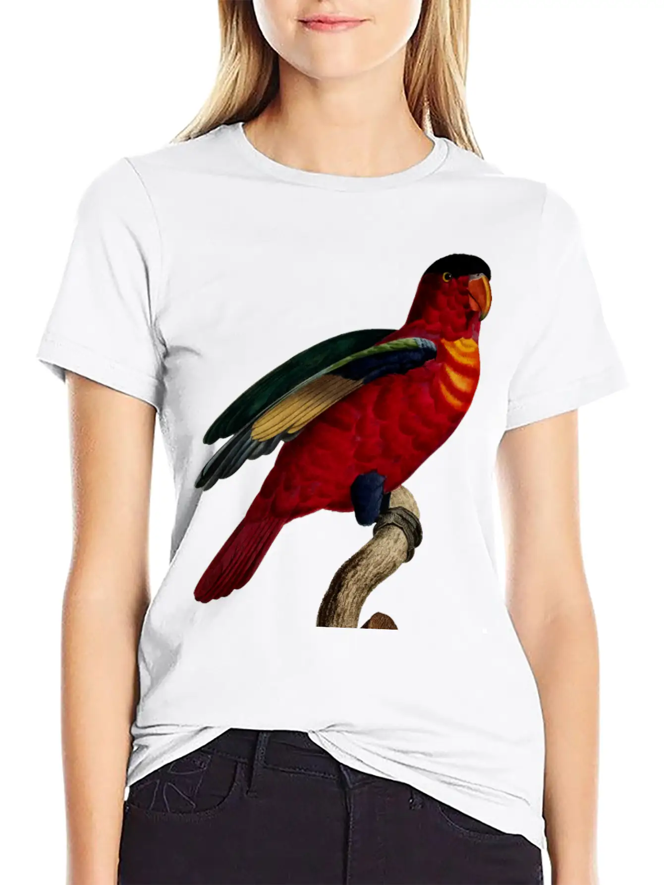 Parrot 29 Relaxed Everyday Tee – Lightweight And Durable Cotton