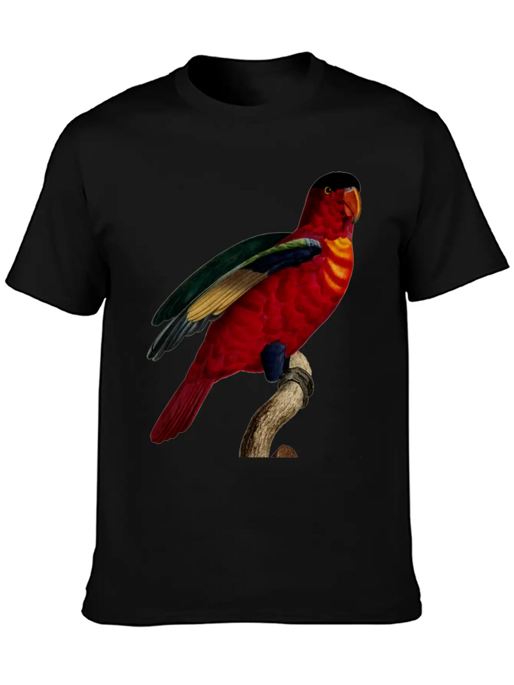 Parrot 29 Relaxed Everyday Tee – Lightweight And Durable Cotton