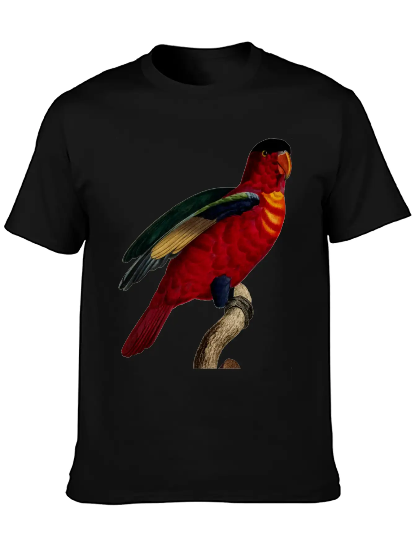 Parrot 29 Relaxed Everyday Tee – Lightweight And Durable Cotton