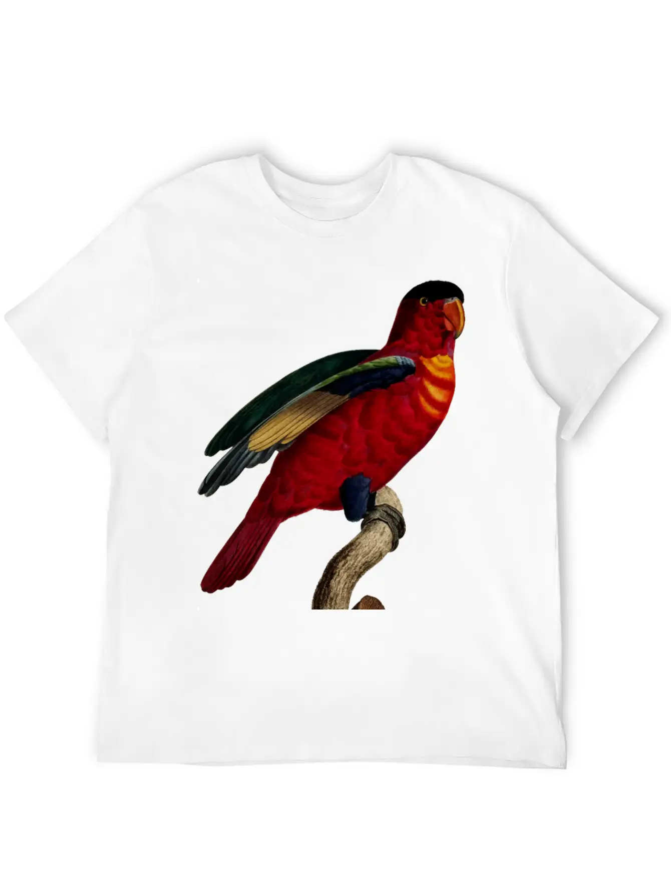 Parrot 29 Relaxed Everyday Tee – Lightweight And Durable Cotton