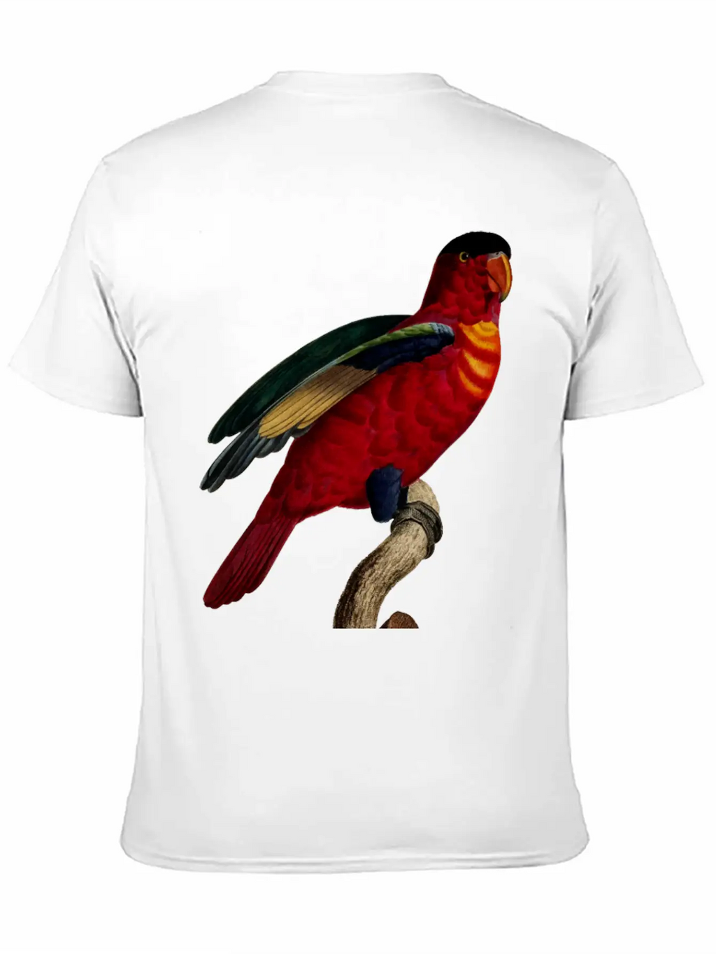 Parrot 29 Relaxed Everyday Tee – Lightweight And Durable Cotton