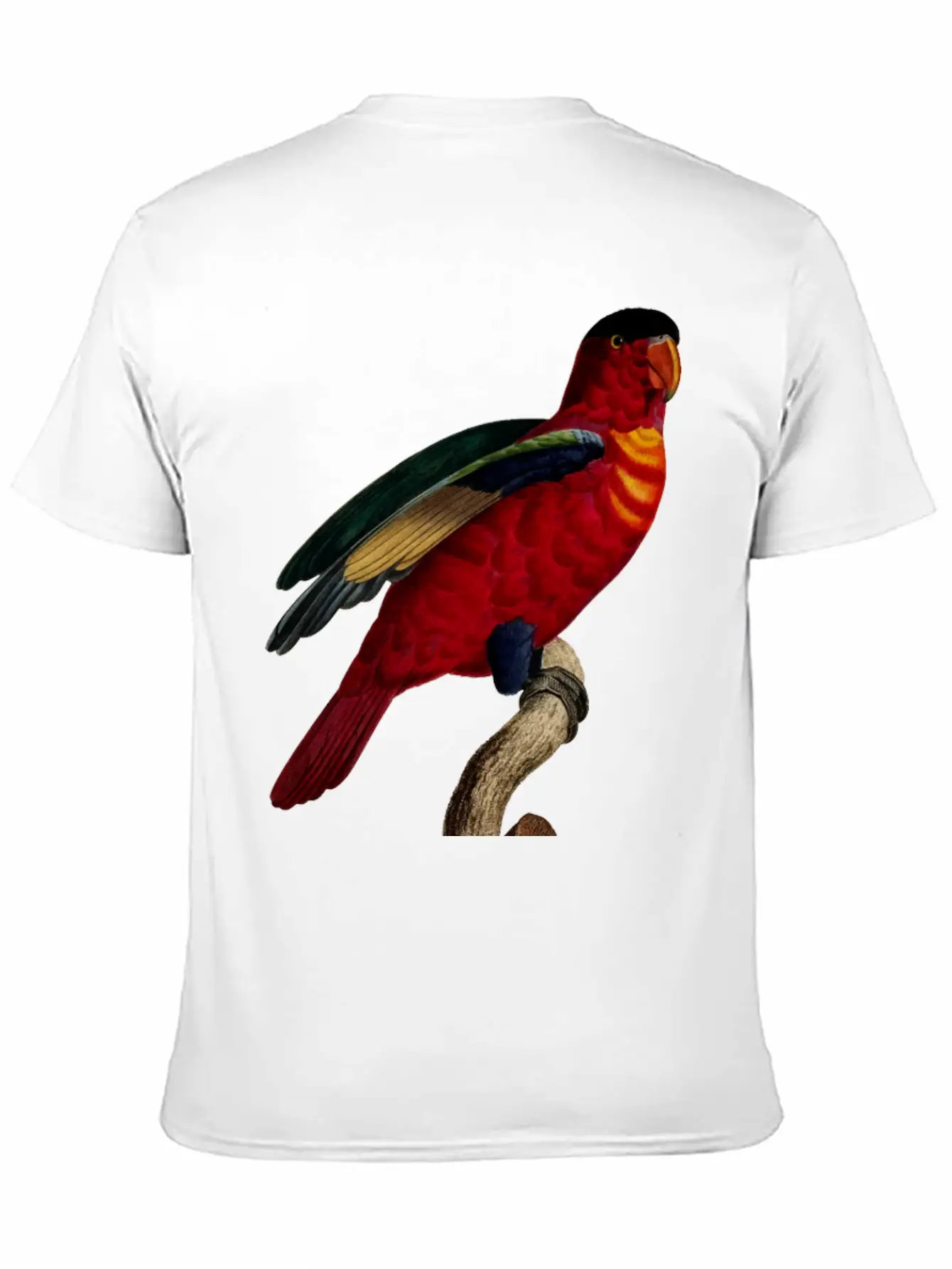 Parrot 29 Relaxed Everyday Tee – Lightweight And Durable Cotton