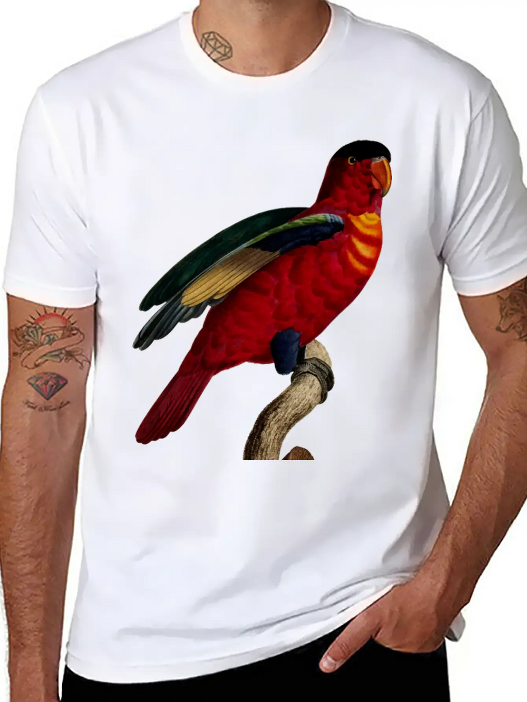 Parrot 29 Relaxed Everyday Tee – Lightweight And Durable Cotton