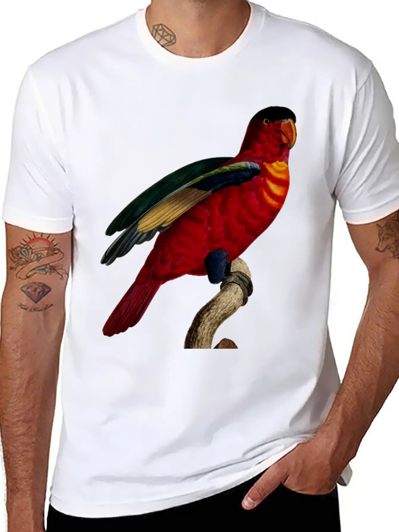 Parrot 29 Relaxed Everyday Tee – Lightweight And Durable Cotton