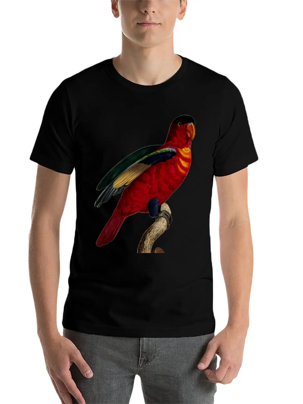 Parrot 29 Relaxed Everyday Tee – Lightweight And Durable Cotton