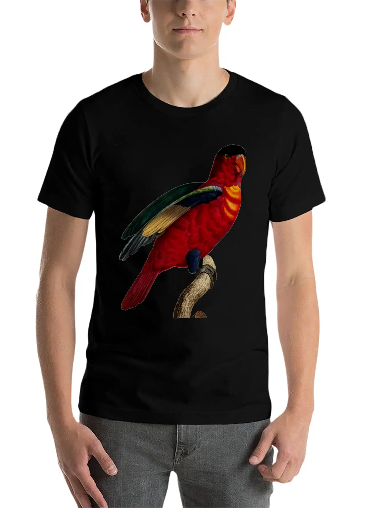 Parrot 29 Relaxed Everyday Tee – Lightweight And Durable Cotton