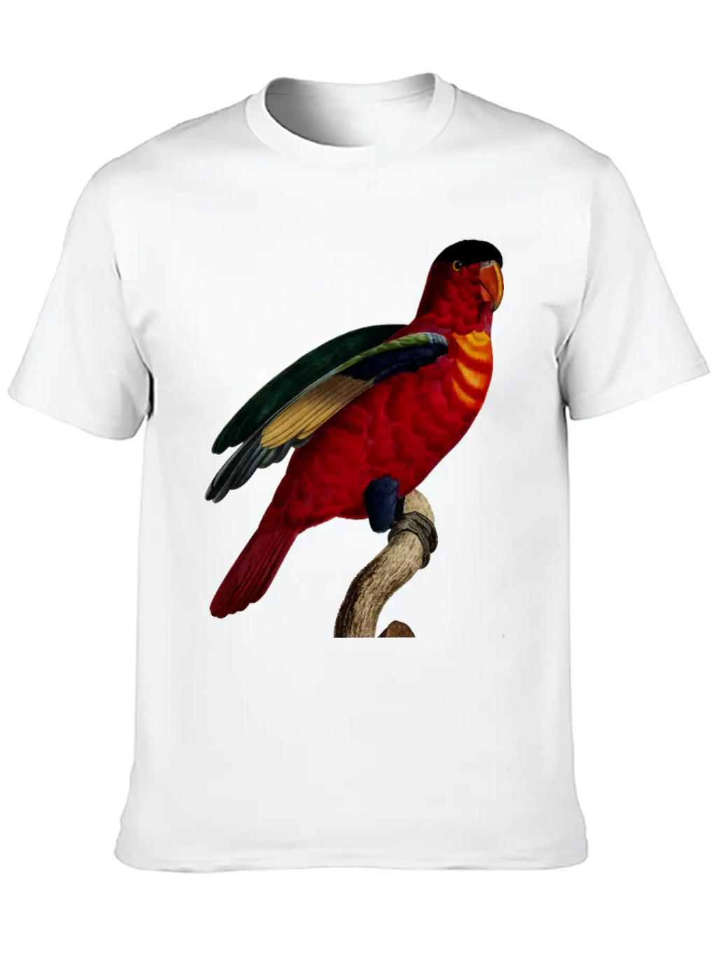 Parrot 29 Relaxed Everyday Tee – Lightweight And Durable Cotton