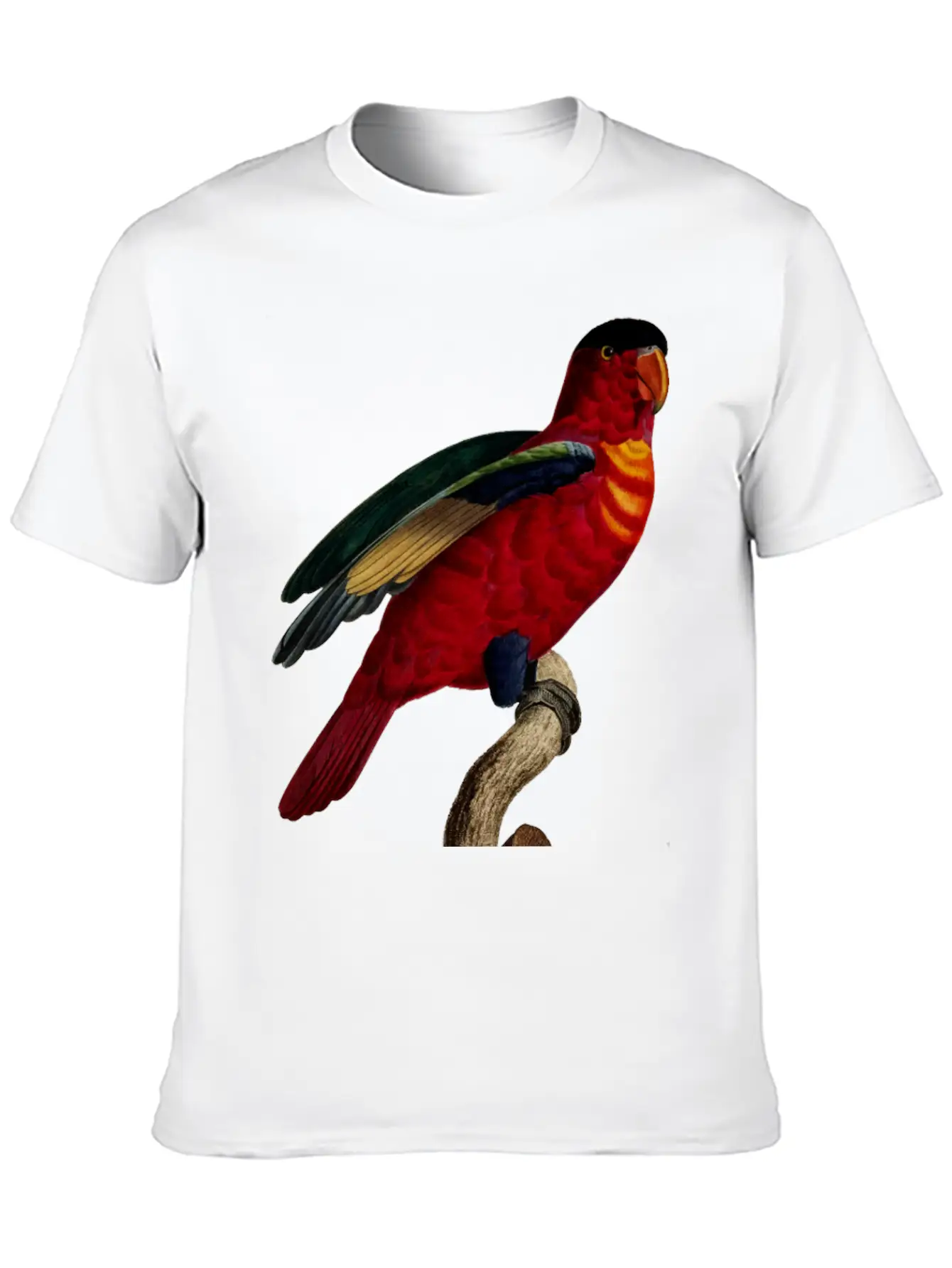 Parrot 29 Relaxed Everyday Tee – Lightweight And Durable Cotton