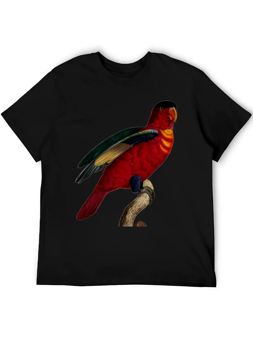 Parrot 29 Relaxed Everyday Tee – Lightweight And Durable Cotton