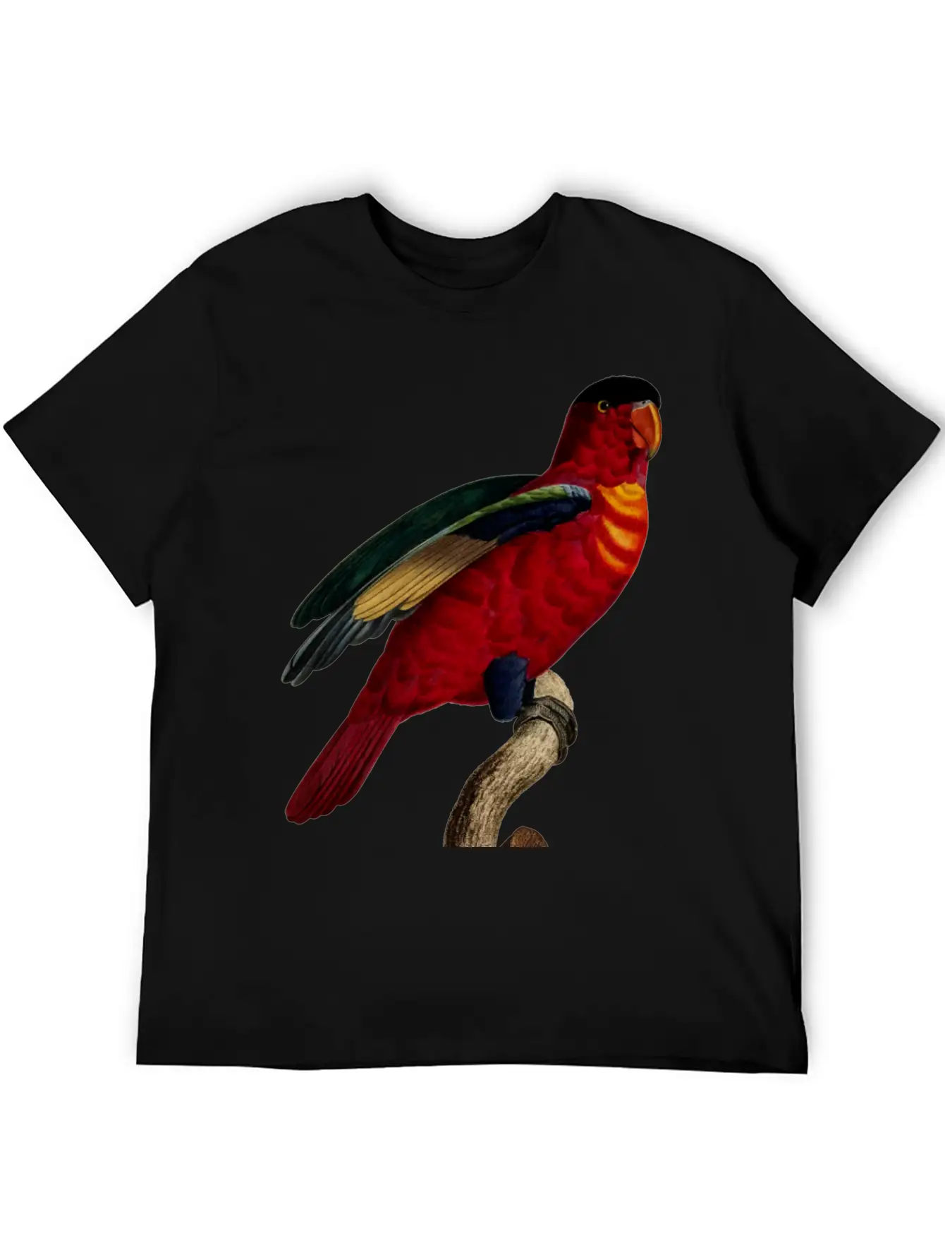 Parrot 29 Relaxed Everyday Tee – Lightweight And Durable Cotton