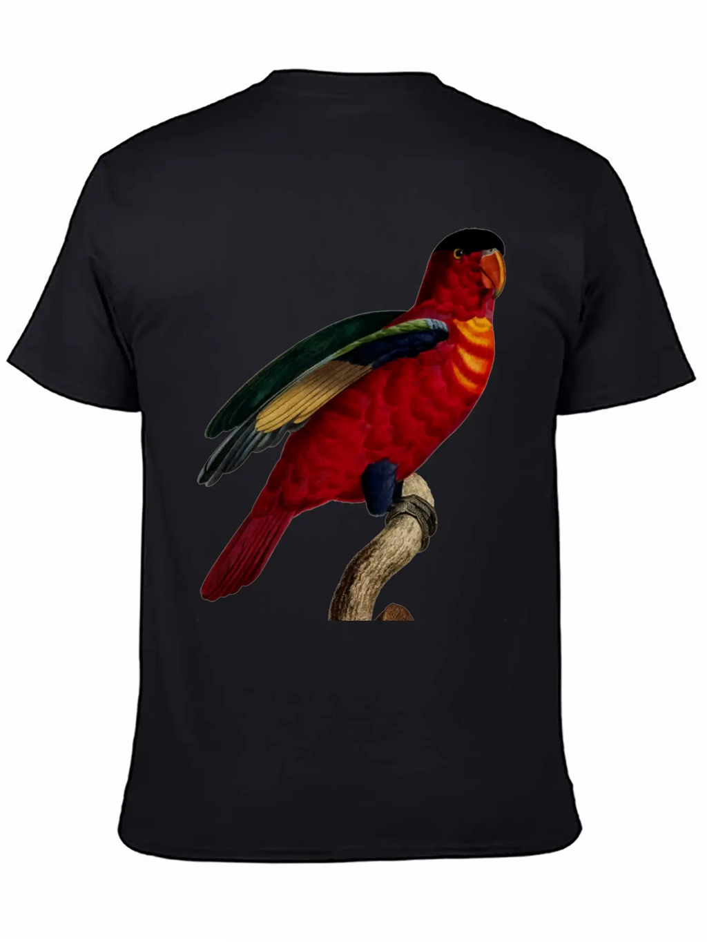 Parrot 29 Relaxed Everyday Tee – Lightweight And Durable Cotton