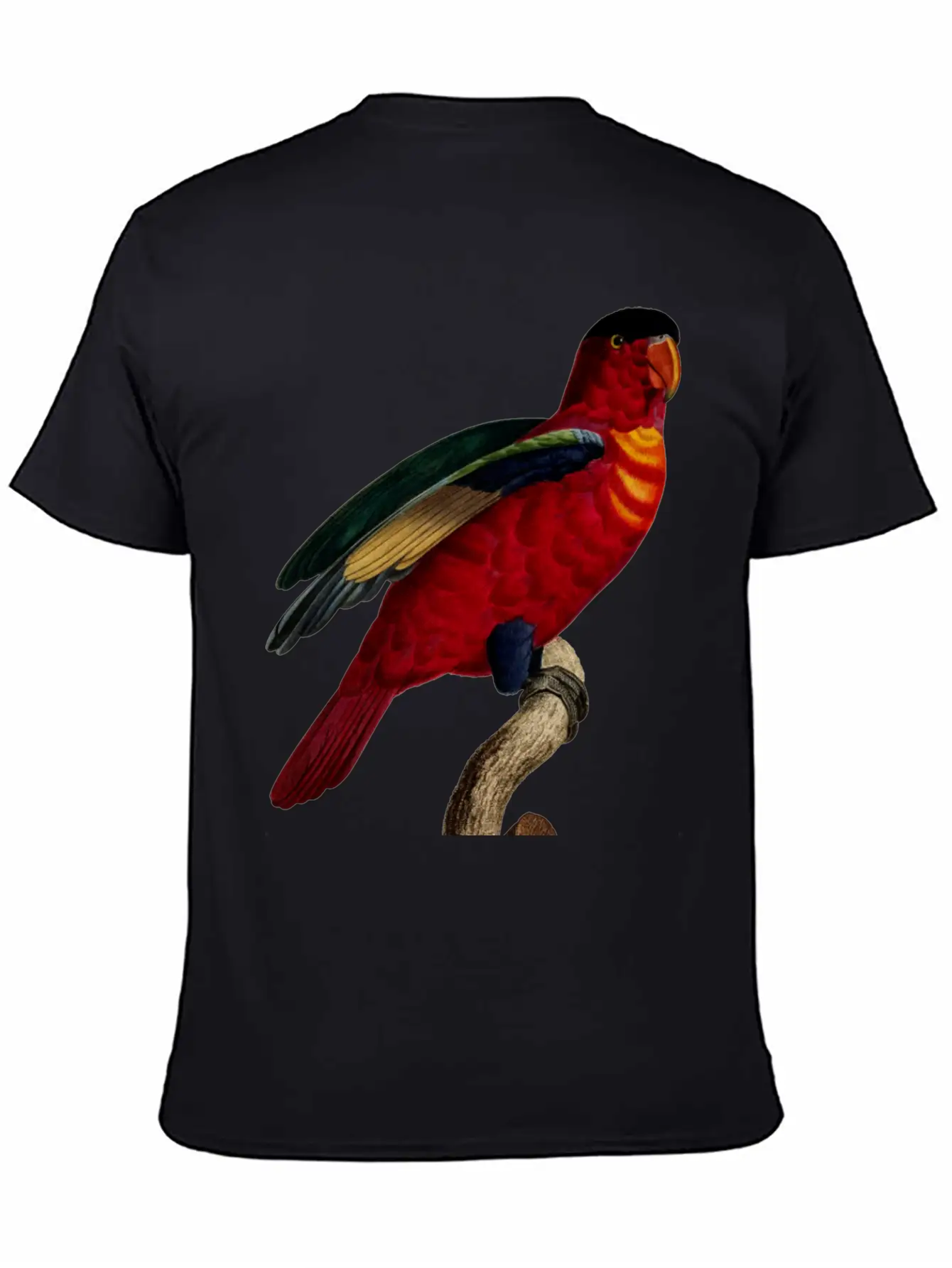 Parrot 29 Relaxed Everyday Tee – Lightweight And Durable Cotton