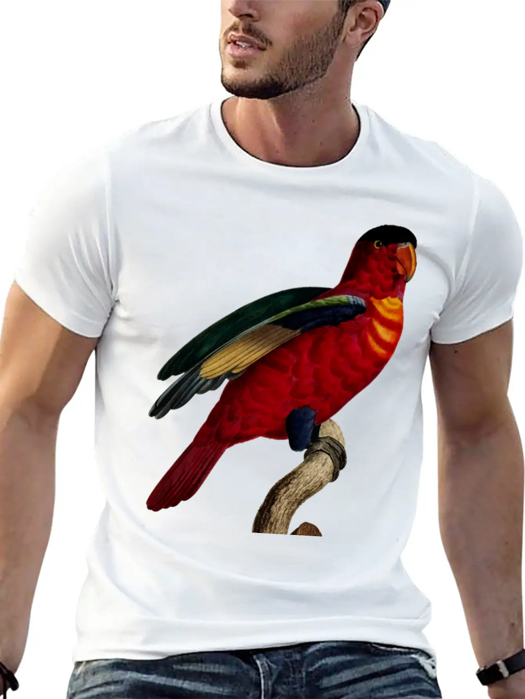 Parrot 29 Relaxed Everyday Tee – Lightweight And Durable Cotton