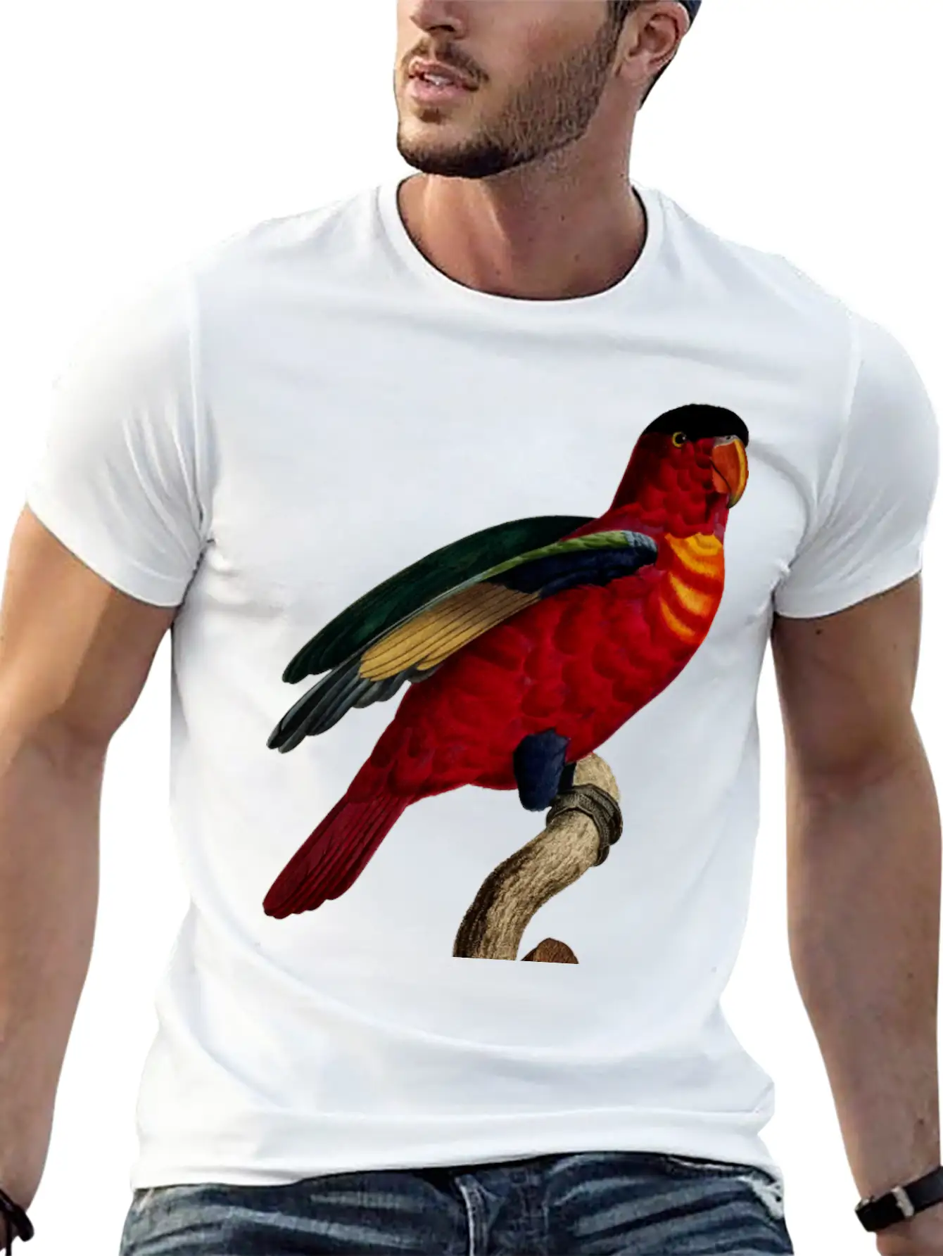 Parrot 29 Relaxed Everyday Tee – Lightweight And Durable Cotton