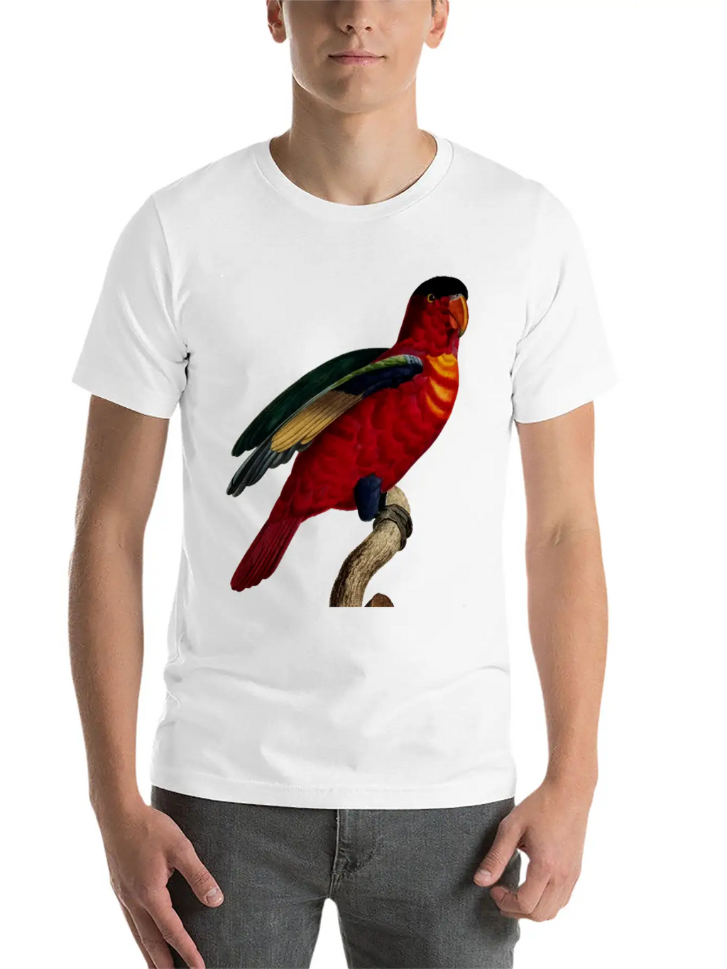 Parrot 29 Relaxed Everyday Tee – Lightweight And Durable Cotton