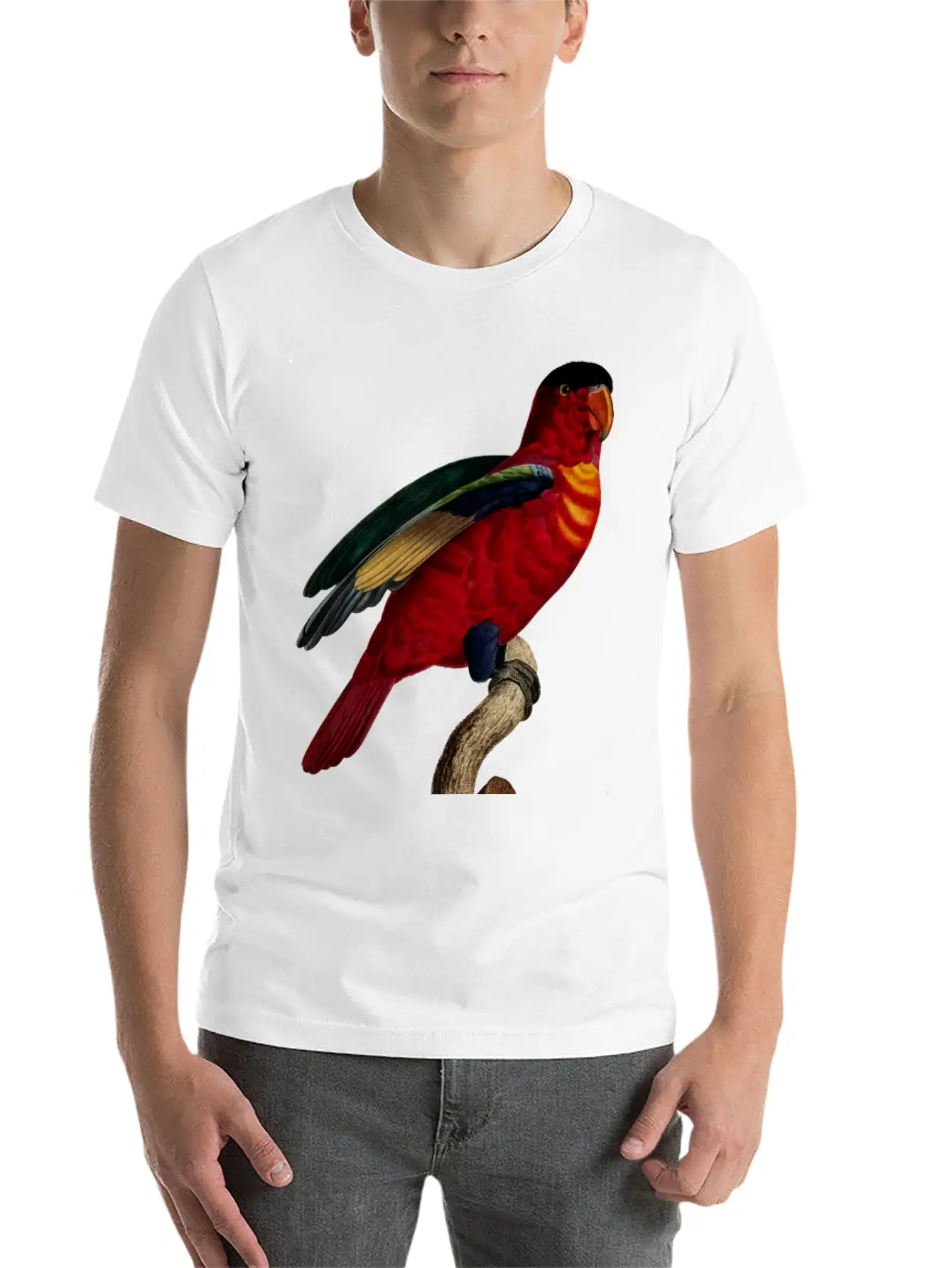 Parrot 29 Relaxed Everyday Tee – Lightweight And Durable Cotton