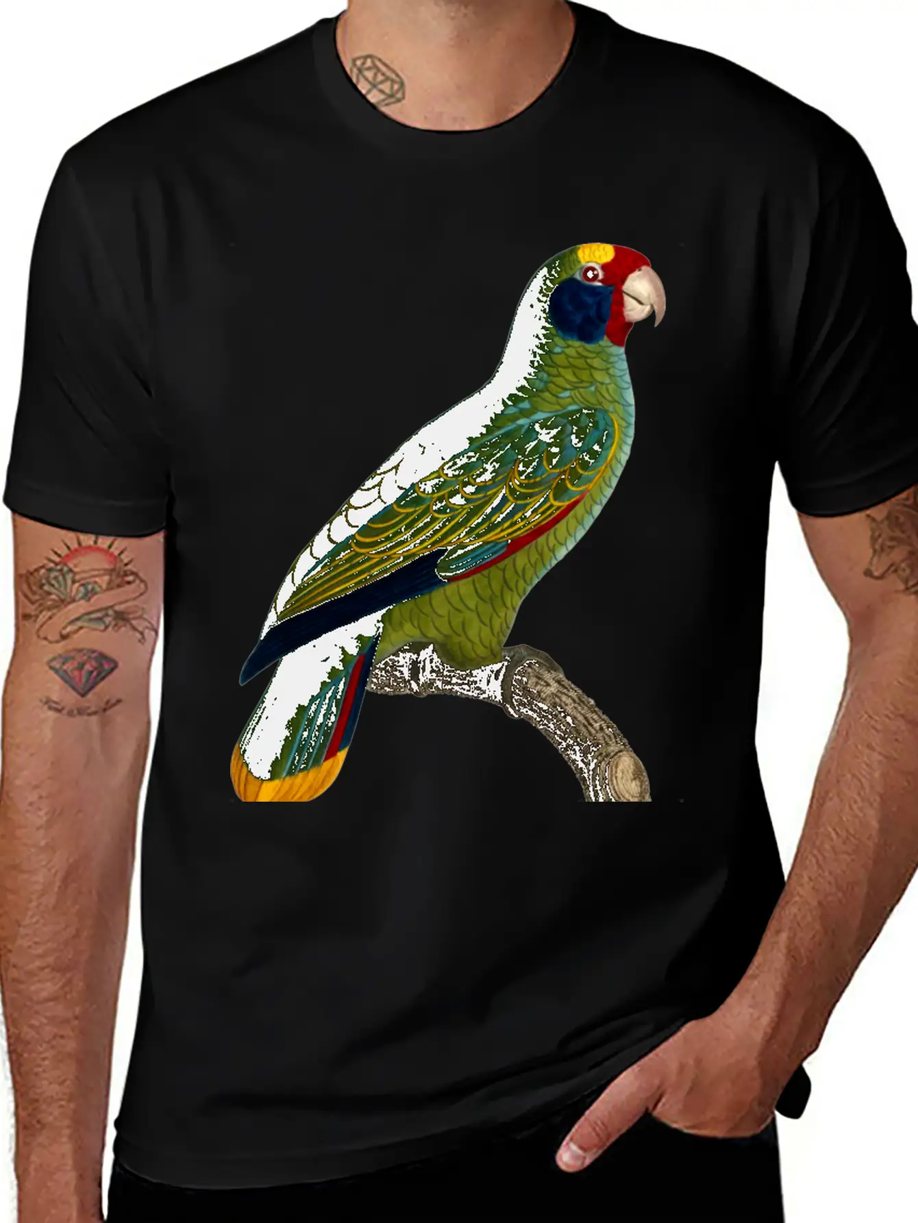 Parrot 43 Unisex Casual T-Shirt – Clean Design For Daily Comfort