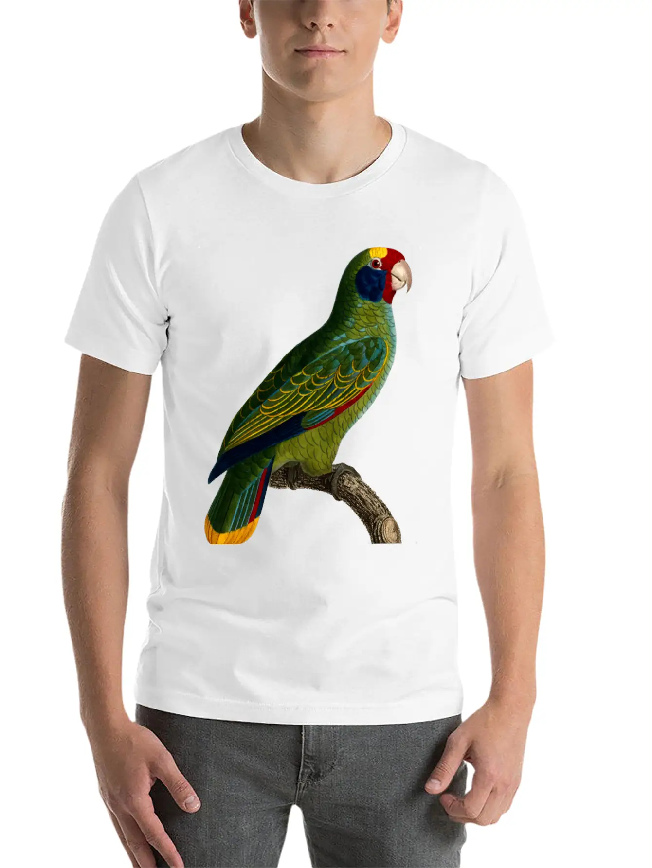 Parrot 43 Unisex Casual T-Shirt – Clean Design For Daily Comfort
