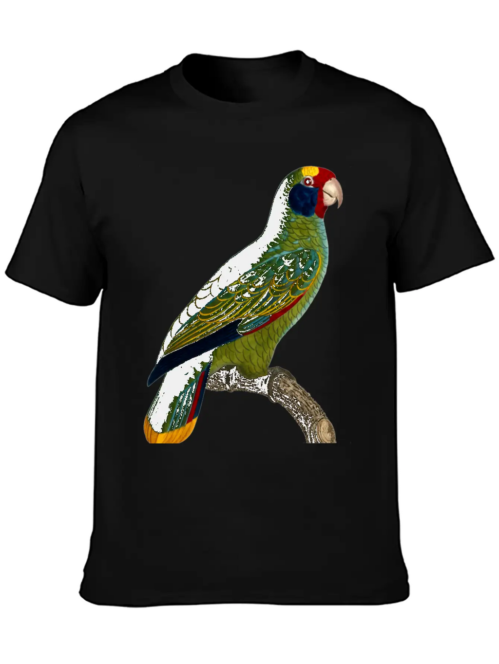 Parrot 43 Unisex Casual T-Shirt – Clean Design For Daily Comfort