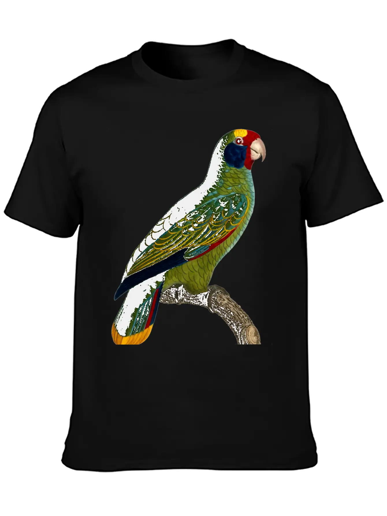 Parrot 43 Unisex Casual T-Shirt – Clean Design For Daily Comfort