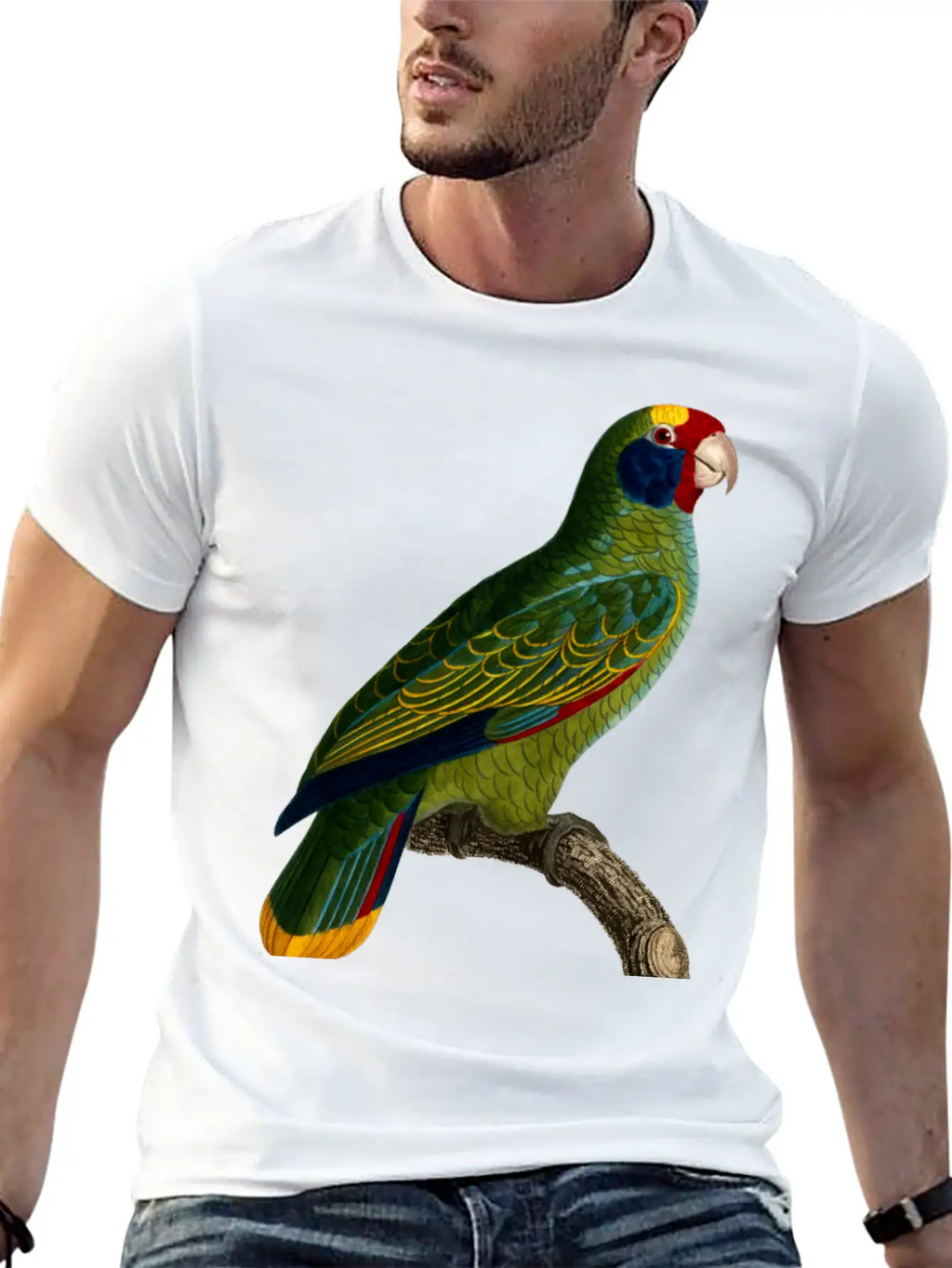 Parrot 43 Unisex Casual T-Shirt – Clean Design For Daily Comfort