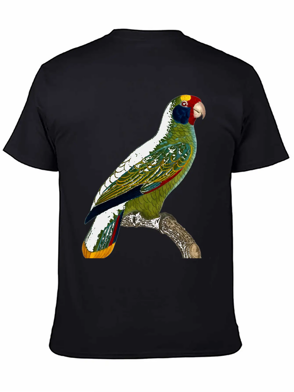 Parrot 43 Unisex Casual T-Shirt – Clean Design For Daily Comfort
