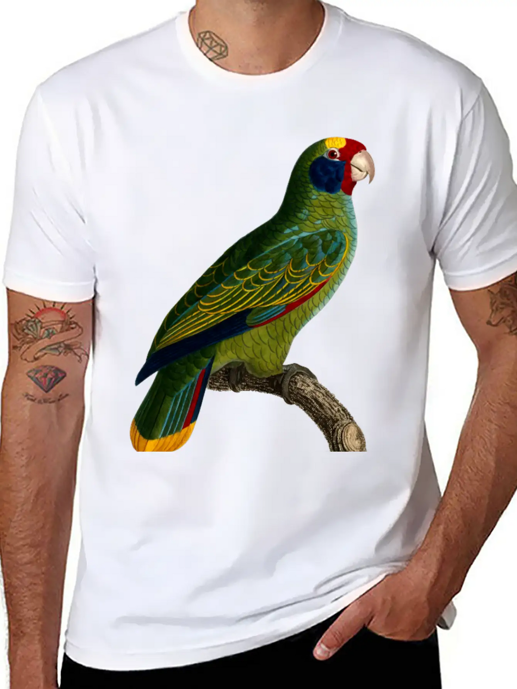 Parrot 43 Unisex Casual T-Shirt – Clean Design For Daily Comfort