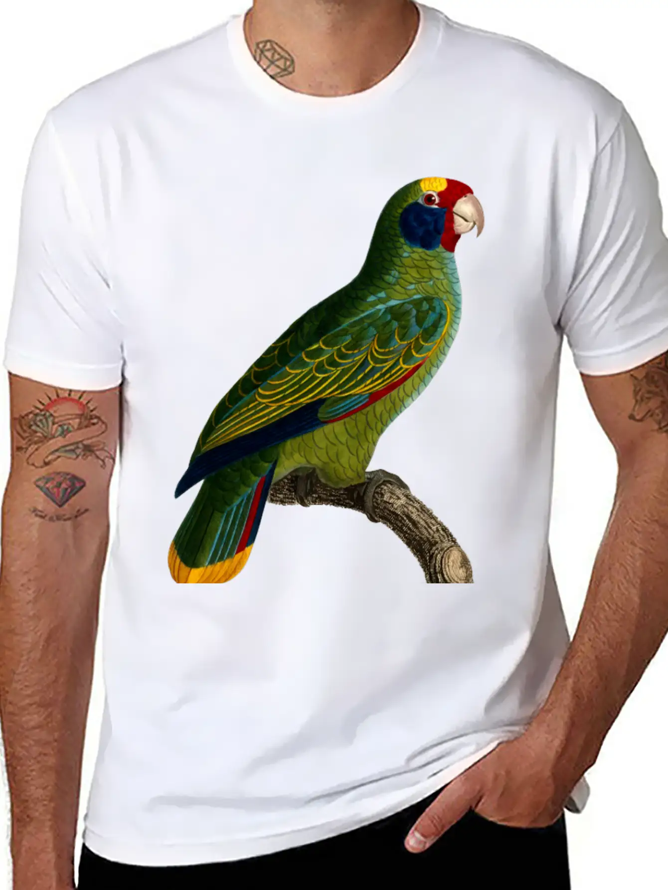 Parrot 43 Unisex Casual T-Shirt – Clean Design For Daily Comfort