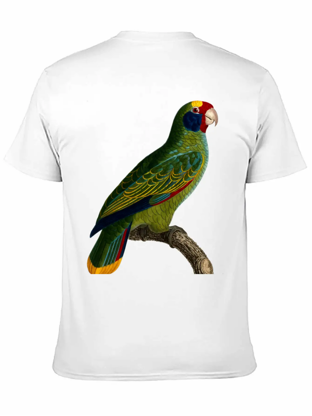 Parrot 43 Unisex Casual T-Shirt – Clean Design For Daily Comfort
