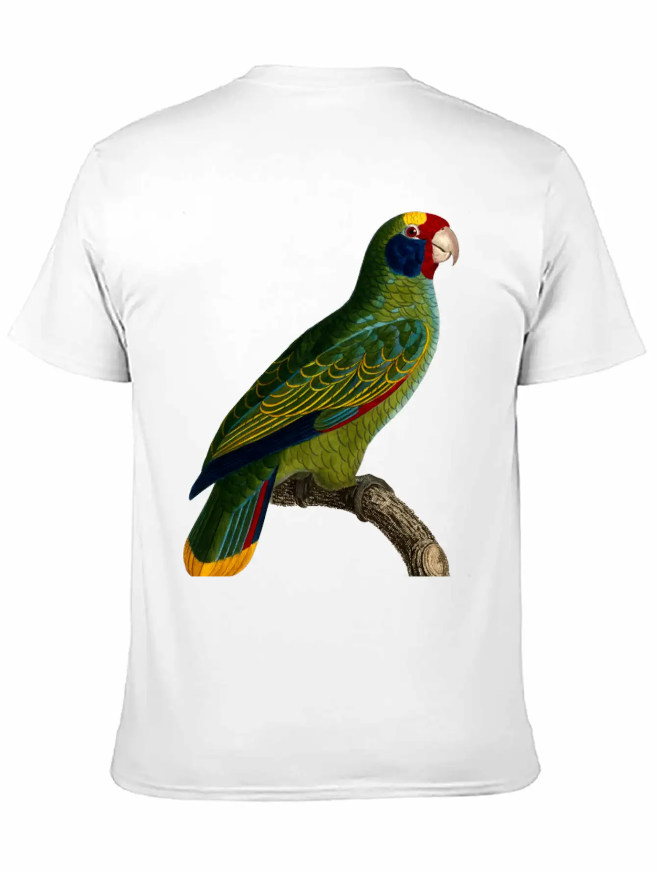 Parrot 43 Unisex Casual T-Shirt – Clean Design For Daily Comfort