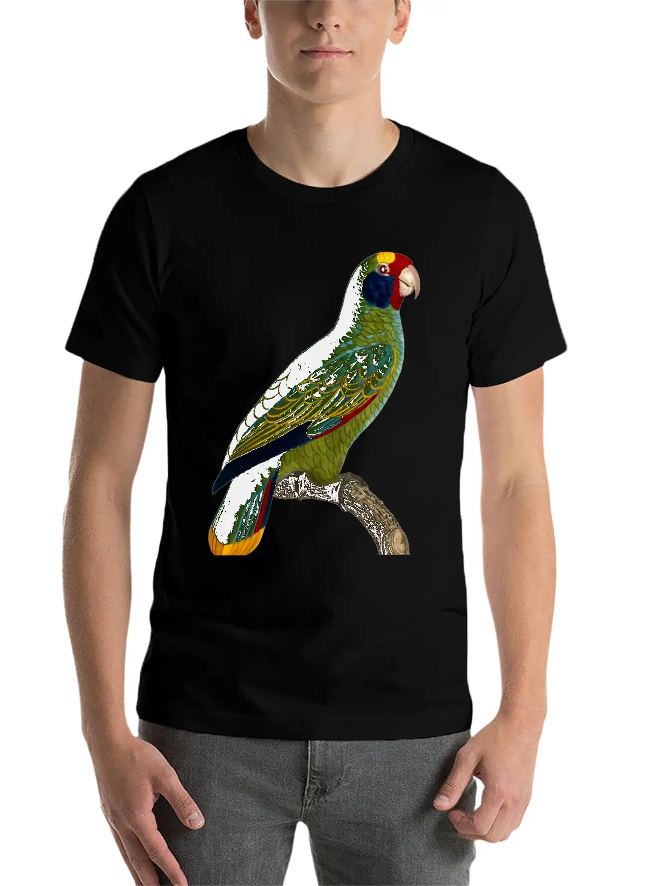 Parrot 43 Unisex Casual T-Shirt – Clean Design For Daily Comfort