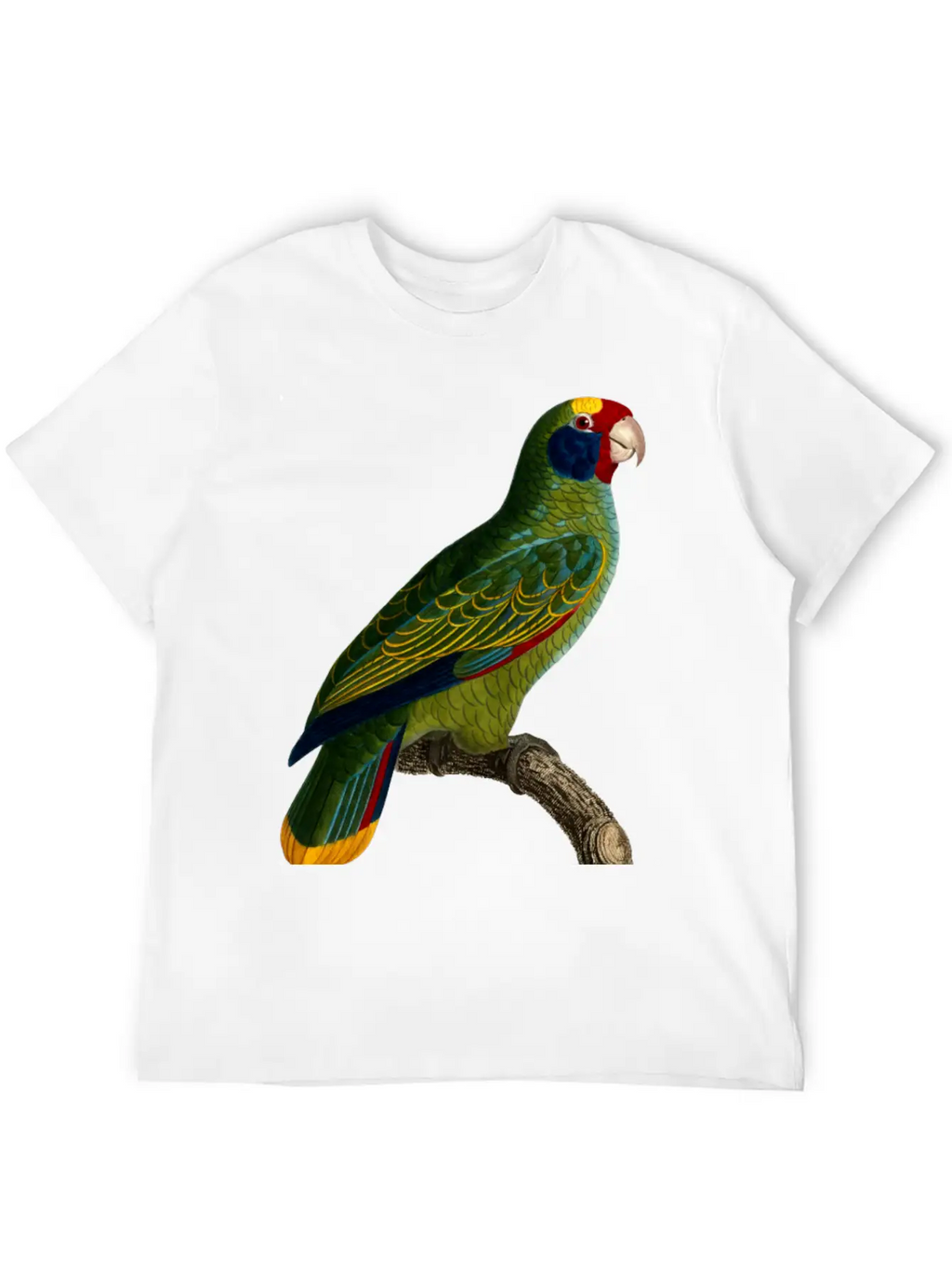 Parrot 43 Unisex Casual T-Shirt – Clean Design For Daily Comfort