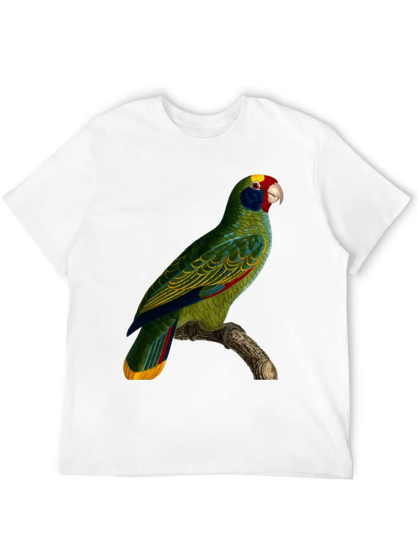 Parrot 43 Unisex Casual T-Shirt – Clean Design For Daily Comfort