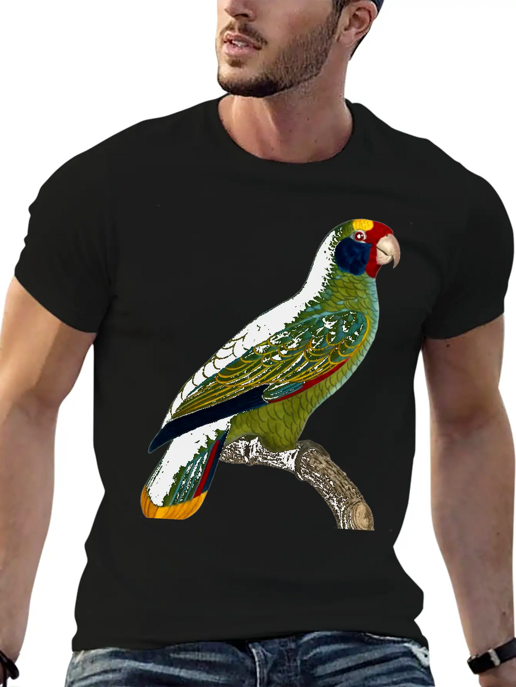 Parrot 43 Unisex Casual T-Shirt – Clean Design For Daily Comfort