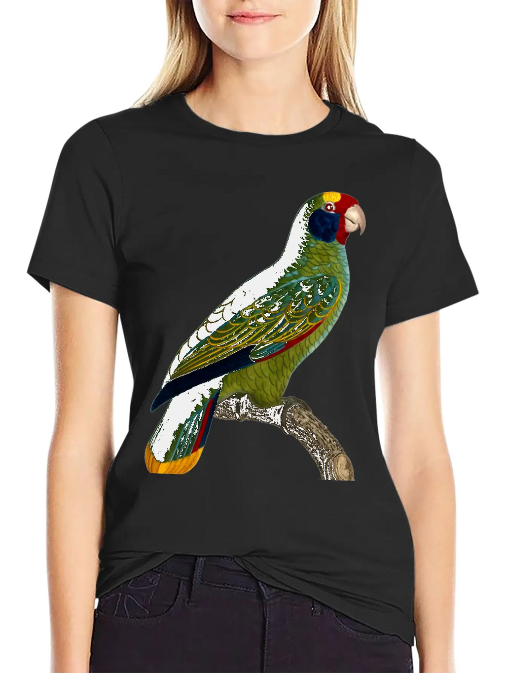 Parrot 43 Unisex Casual T-Shirt – Clean Design For Daily Comfort