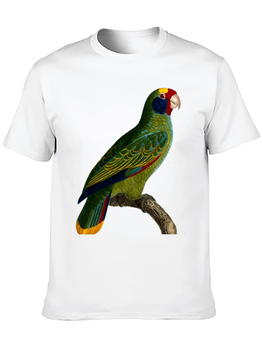 Parrot 43 Unisex Casual T-Shirt – Clean Design For Daily Comfort